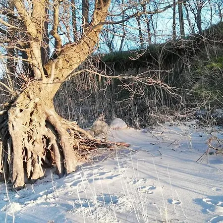 Apartament Moderne Mit Balkon Direkt An Der Peene Ziemitz