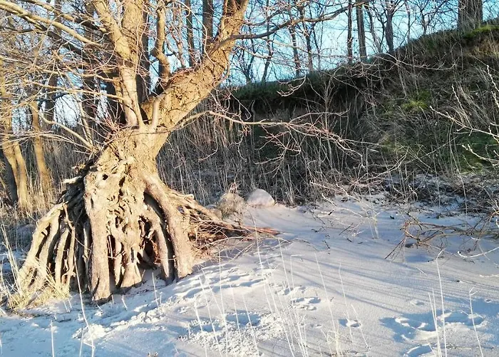 Апартаменты Moderne Mit Balkon Direkt An Der Peene Ziemitz
